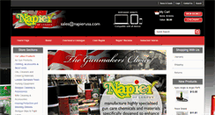 Desktop Screenshot of napierusa.com